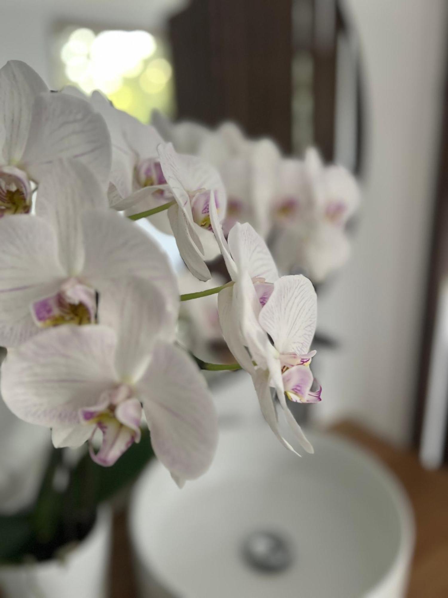 La Canopee Private Ecolodges نيم المظهر الخارجي الصورة